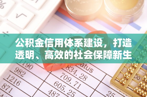 洛龙公积金信用体系建设，打造透明、高效的社会保障新生态