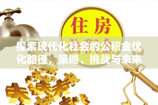 洛龙探索现代化社会的公积金优化路径，策略、挑战与未来展望