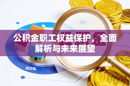 洛龙公积金职工权益保护，全面解析与未来展望