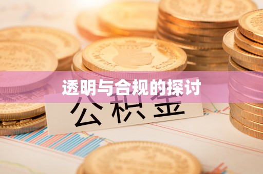 洛龙透明与合规的探讨
