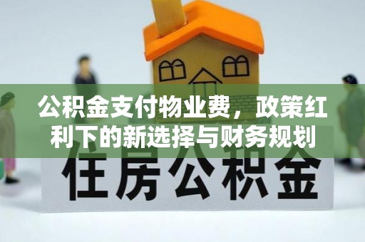 洛龙公积金支付物业费，政策红利下的新选择与财务规划
