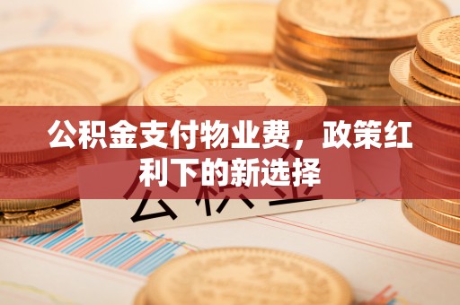 洛龙公积金支付物业费，政策红利下的新选择