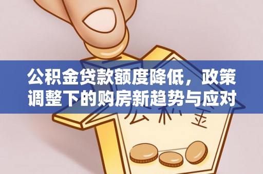 洛龙公积金贷款额度降低，政策调整下的购房新趋势与应对策略
