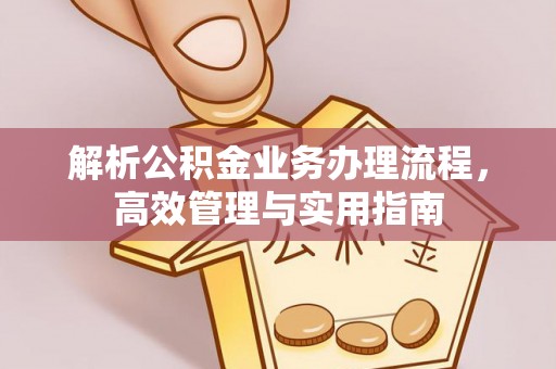 洛龙解析公积金业务办理流程，高效管理与实用指南