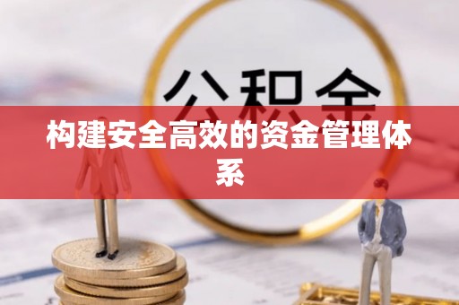 洛龙构建安全高效的资金管理体系
