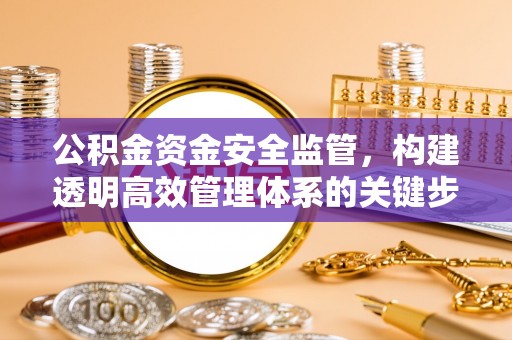 洛龙公积金资金安全监管，构建透明高效管理体系的关键步骤