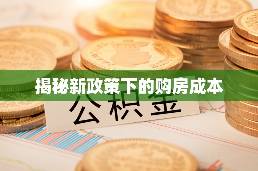 洛龙揭秘新政策下的购房成本