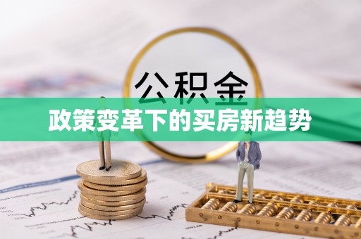 洛龙政策变革下的买房新趋势