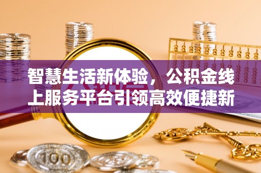 洛龙智慧生活新体验，公积金线上服务平台引领高效便捷新潮流