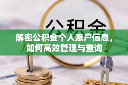 洛龙解密公积金个人账户信息，如何高效管理与查询
