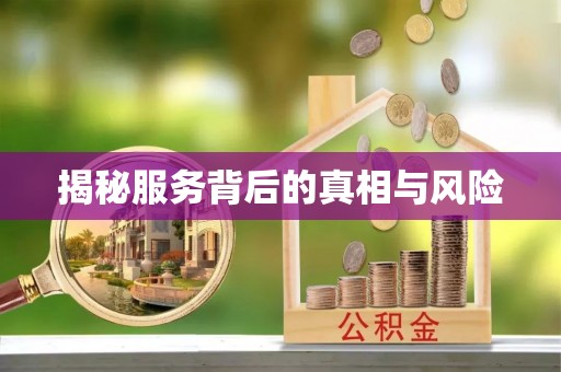 洛龙揭秘服务背后的真相与风险