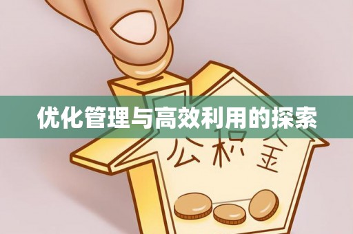 洛龙优化管理与高效利用的探索