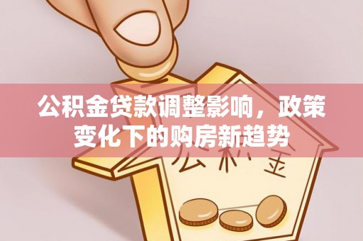 洛龙公积金贷款调整影响，政策变化下的购房新趋势