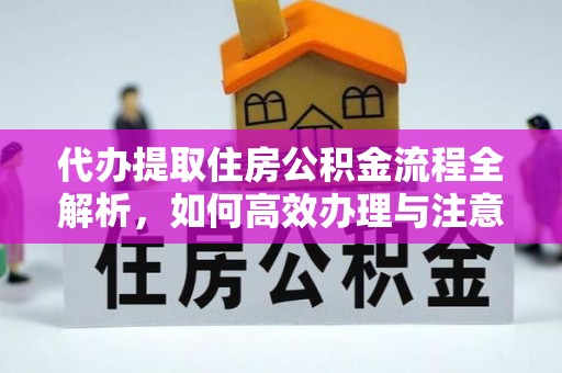 洛龙代办提取住房公积金流程全解析，如何高效办理与注意事项