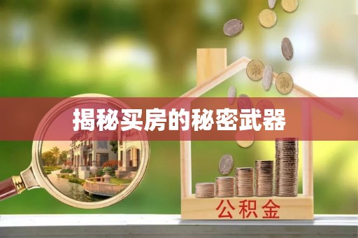 洛龙揭秘买房的秘密武器