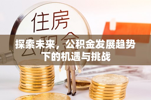 洛龙探索未来，公积金发展趋势下的机遇与挑战