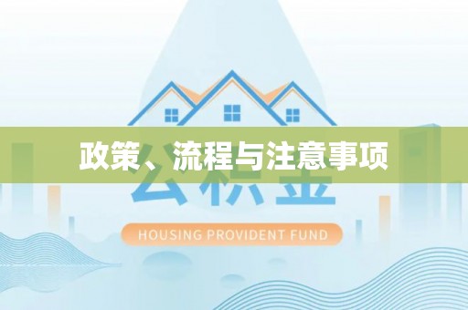 洛龙政策、流程与注意事项
