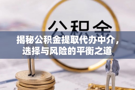 洛龙揭秘公积金提取代办中介，选择与风险的平衡之道