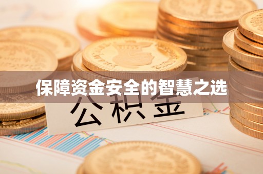 洛龙保障资金安全的智慧之选