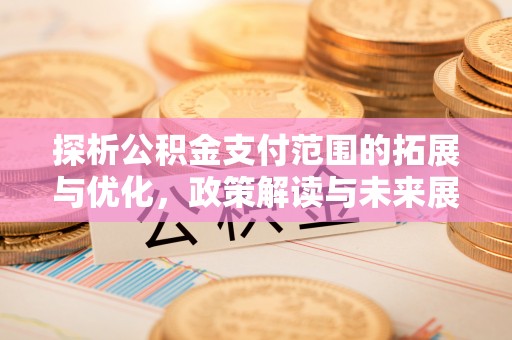 洛龙探析公积金支付范围的拓展与优化，政策解读与未来展望