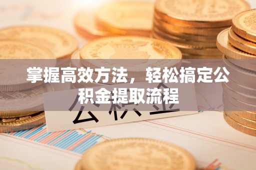 洛龙掌握高效方法，轻松搞定公积金提取流程