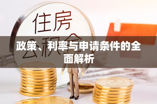 洛龙政策、利率与申请条件的全面解析