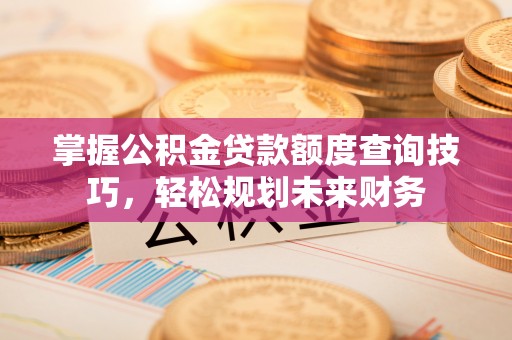 洛龙掌握公积金贷款额度查询技巧，轻松规划未来财务