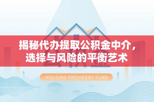 洛龙揭秘代办提取公积金中介，选择与风险的平衡艺术