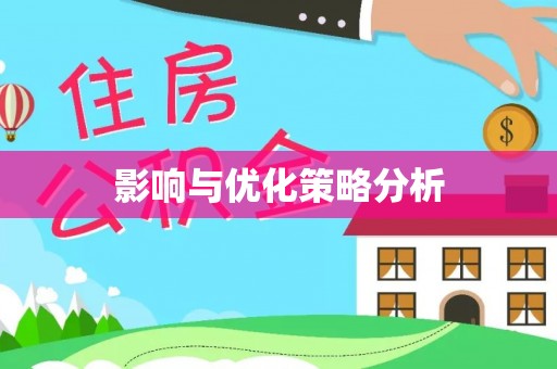 洛龙影响与优化策略分析