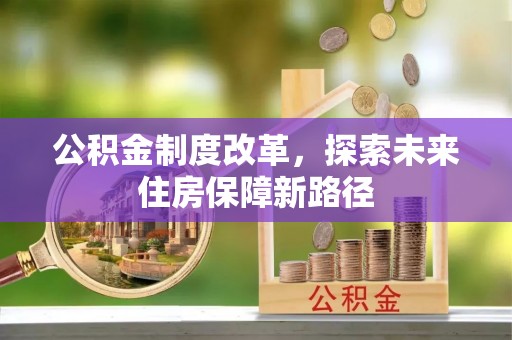洛龙公积金制度改革，探索未来住房保障新路径
