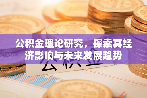 洛龙公积金理论研究，探索其经济影响与未来发展趋势