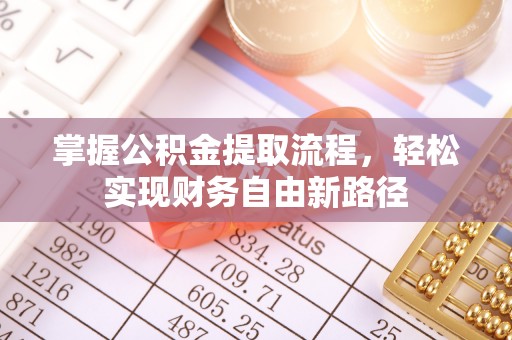 洛龙掌握公积金提取流程，轻松实现财务自由新路径