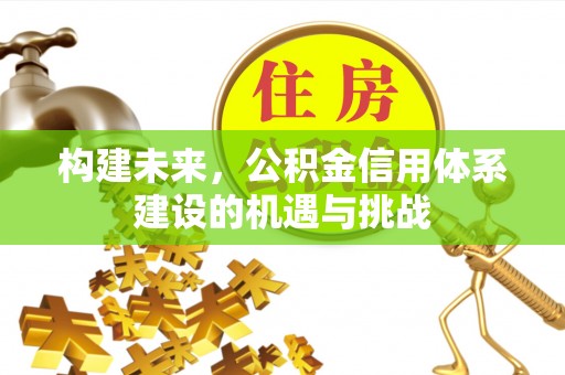洛龙构建未来，公积金信用体系建设的机遇与挑战
