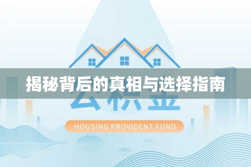 洛龙揭秘背后的真相与选择指南