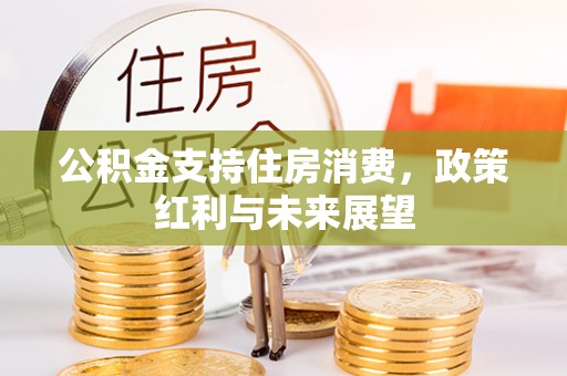 洛龙公积金支持住房消费，政策红利与未来展望