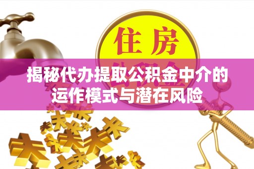 洛龙揭秘代办提取公积金中介的运作模式与潜在风险