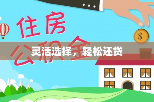 洛龙灵活选择，轻松还贷