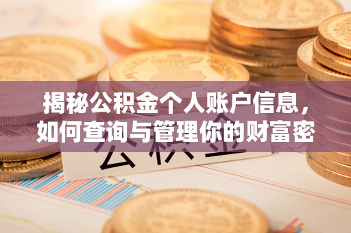 洛龙揭秘公积金个人账户信息，如何查询与管理你的财富密码