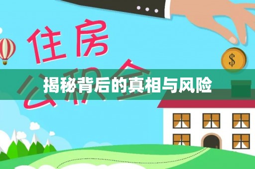 洛龙揭秘背后的真相与风险