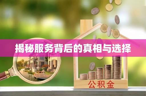 洛龙揭秘服务背后的真相与选择