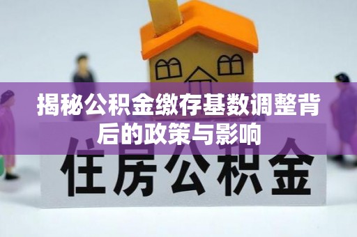 洛龙揭秘公积金缴存基数调整背后的政策与影响