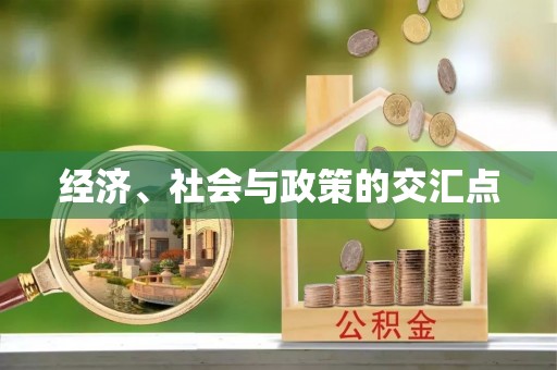 洛龙经济、社会与政策的交汇点