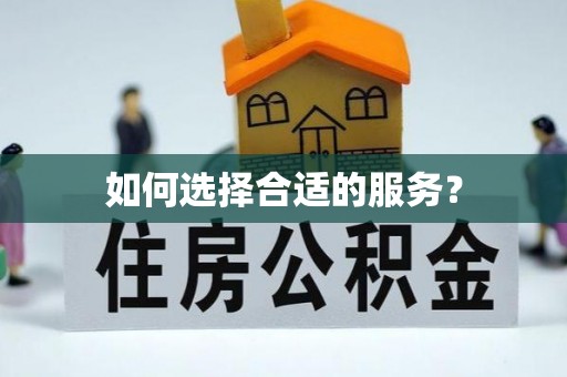 洛龙如何选择合适的服务？