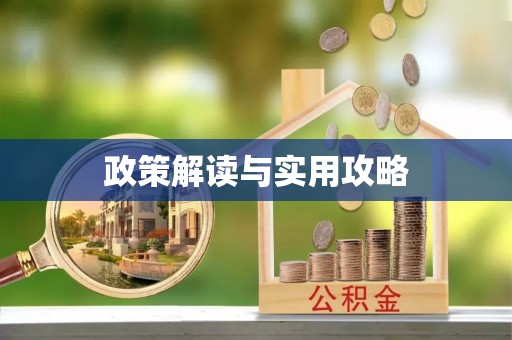 洛龙政策解读与实用攻略