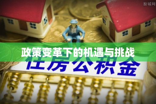 洛龙政策变革下的机遇与挑战