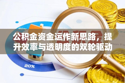 洛龙公积金资金运作新思路，提升效率与透明度的双轮驱动