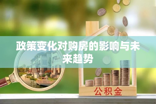 洛龙政策变化对购房的影响与未来趋势