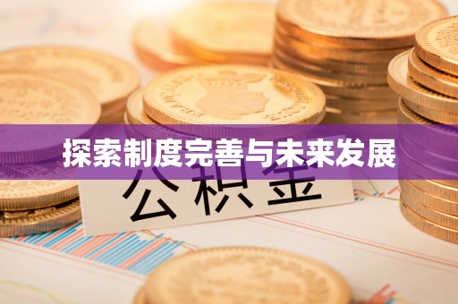 洛龙探索制度完善与未来发展