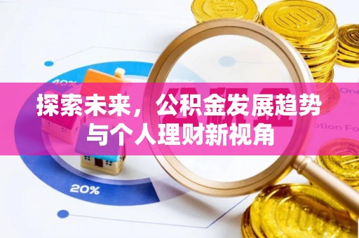 洛龙探索未来，公积金发展趋势与个人理财新视角