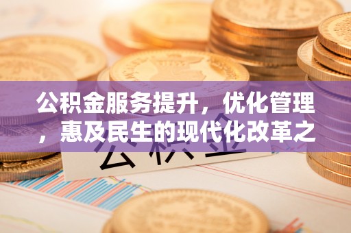 洛龙公积金服务提升，优化管理，惠及民生的现代化改革之路